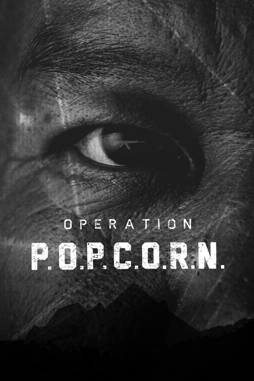 Operation Popcorn (2015) poster