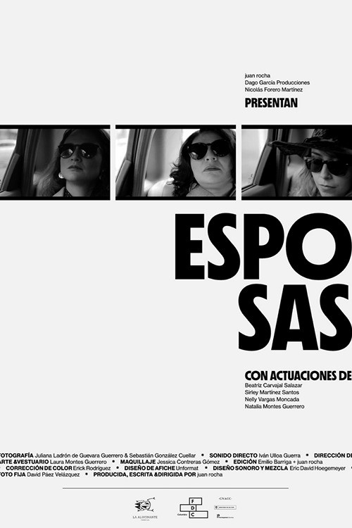 Esposas (2024) poster