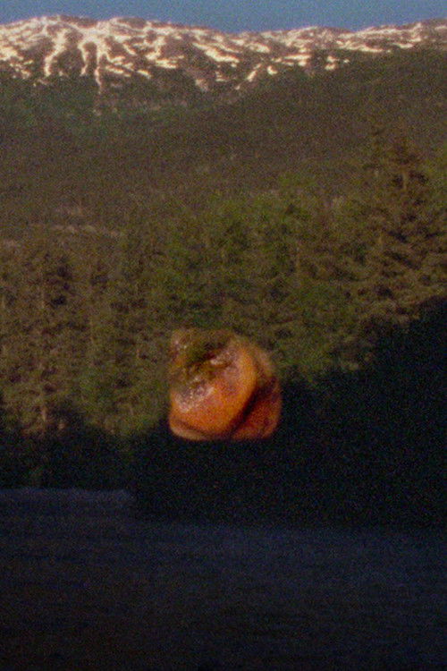 See Through the Hollowed Blue Hellebore (2026) poster