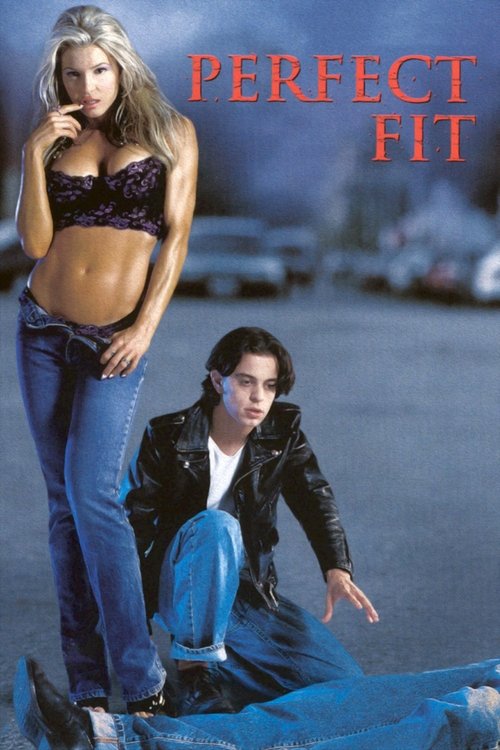 Perfect Fit (2000) poster