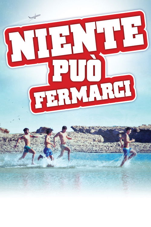 Niente può fermarci (2013) poster