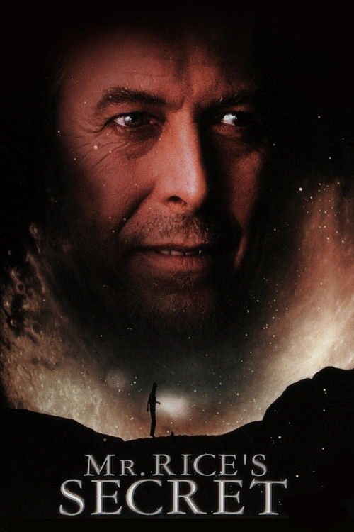 Bay Rice'in Sırrı (2000) poster