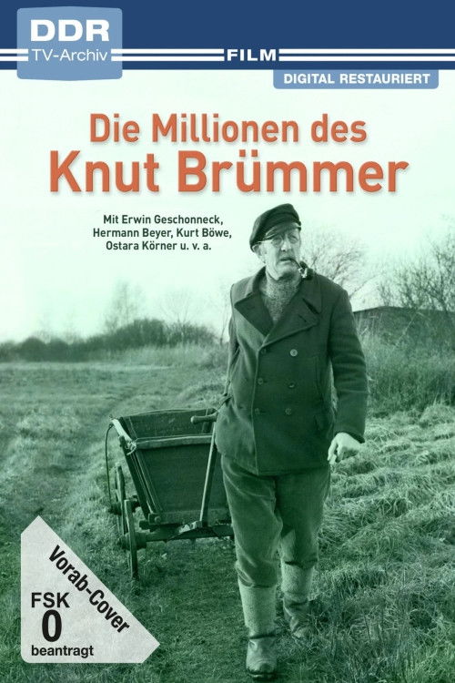Die Millionen des Knut Brümmer (1977) poster