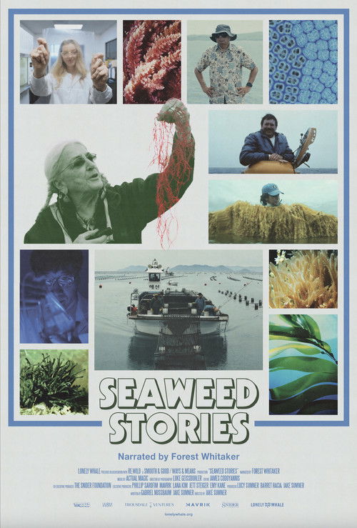 Seaweed Stories (2024) poster