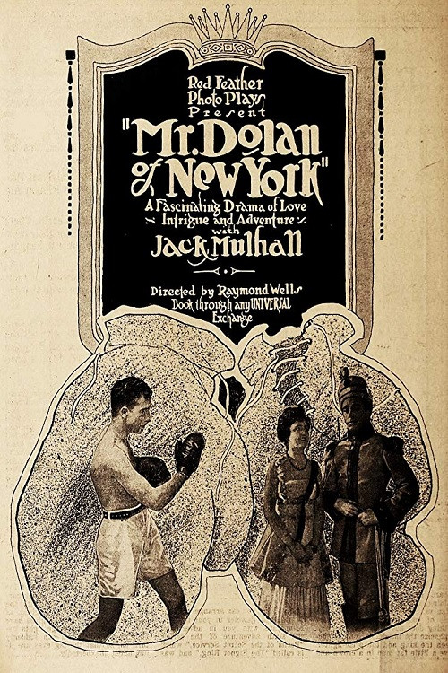 Mr. Dolan of New York (1917) poster