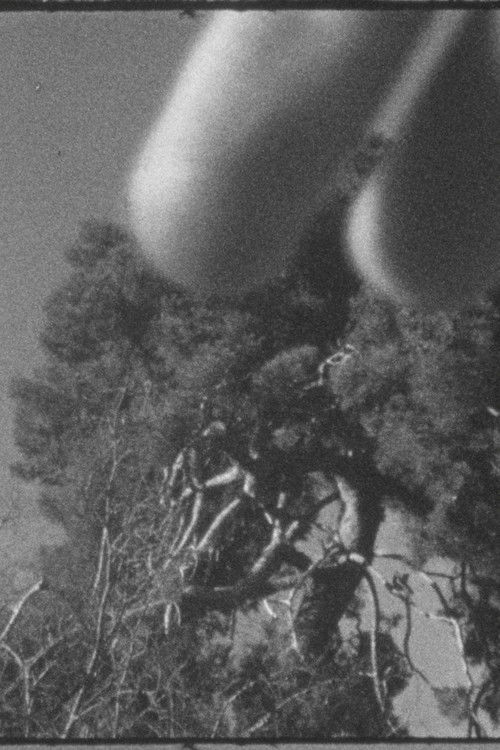 Un árbol y Cézanne o Cézanne y un árbol (2023) poster