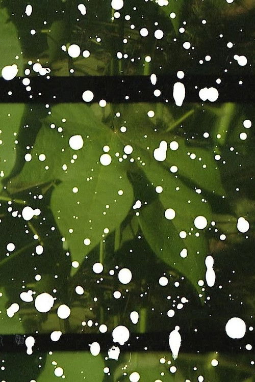 re-engraved (2024) poster