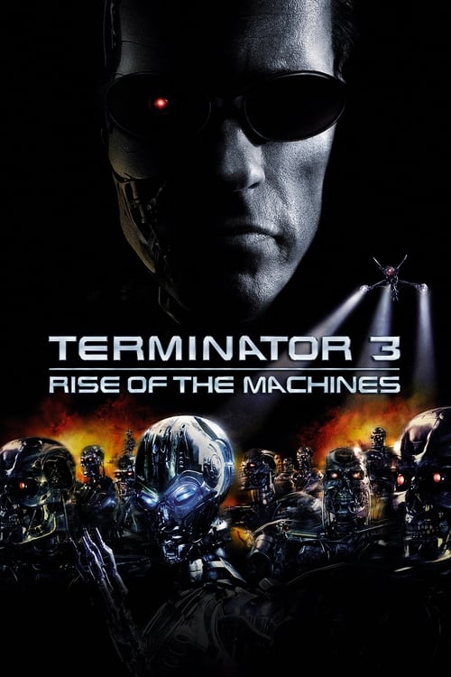 Terminatör 3: Makinelerin Yükselişi (2003) poster