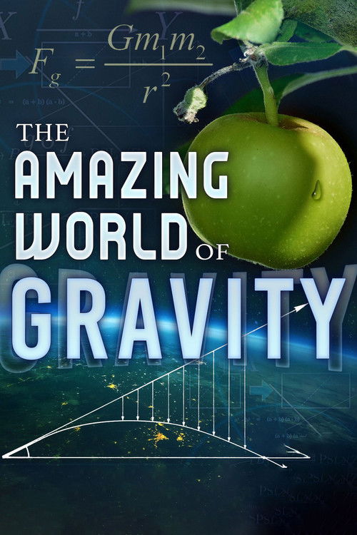 The Amazing World of Gravity (2017) poster