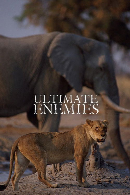 Ultimate Enemies: Revealed (2022) poster