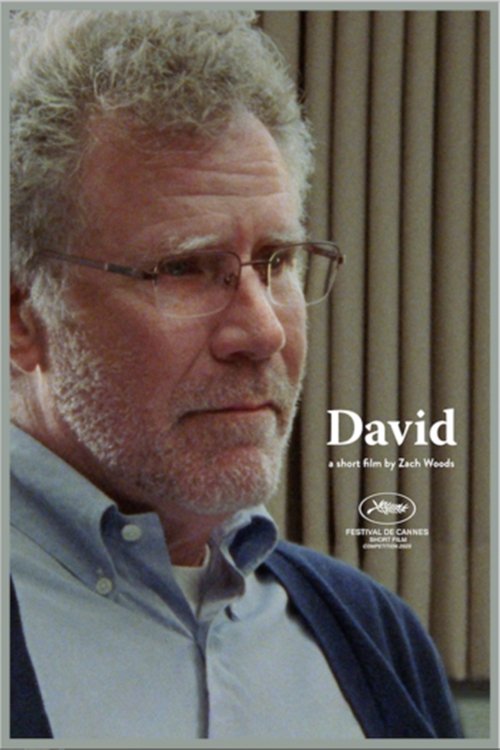 David (2020) poster