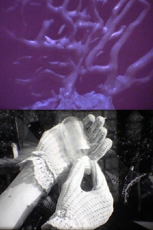 Her* Hands and His Forms (2022) poster