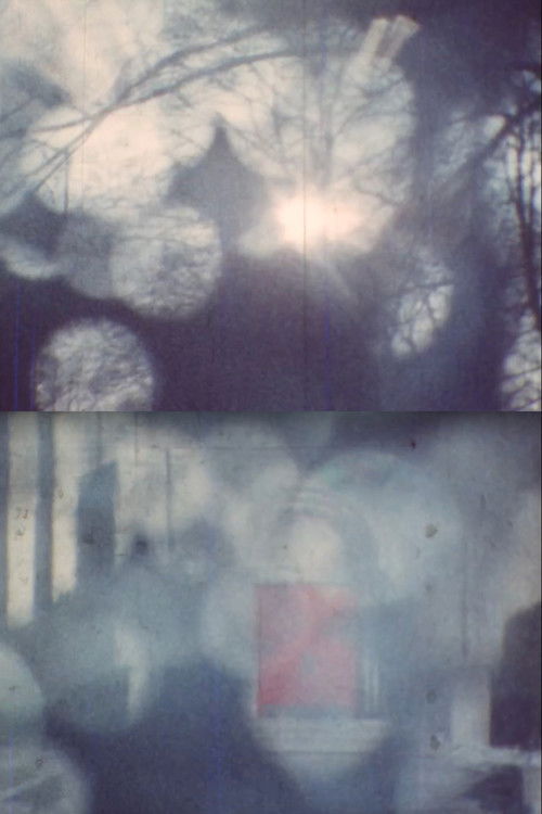 Film Diary #3 (In Memory of Kurt Kren) (2024) poster