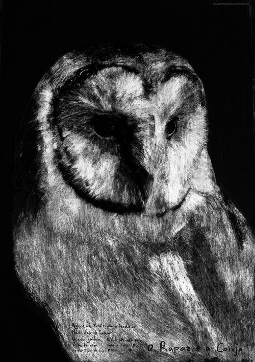 The Boy and the Owl (2019) poster