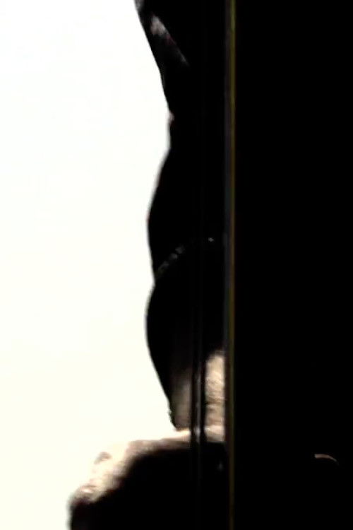 Temporary Slaraffenland (2009) poster