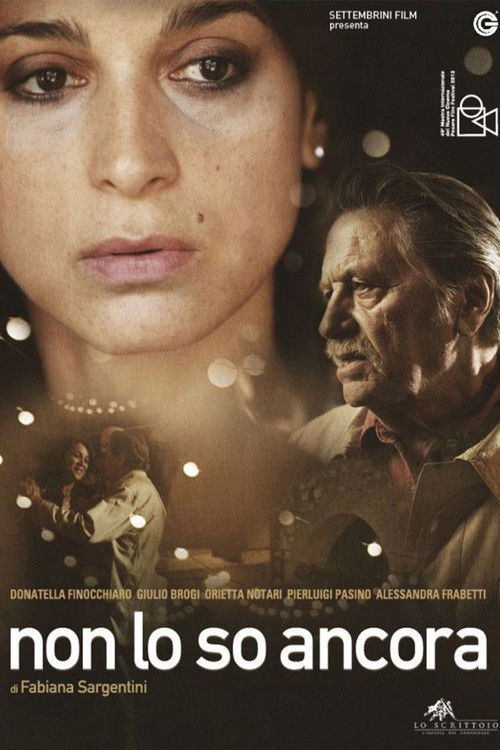 Non lo so ancora (2013) poster