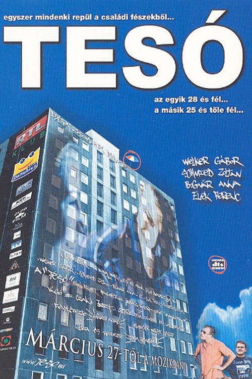 Bro' (2003) poster