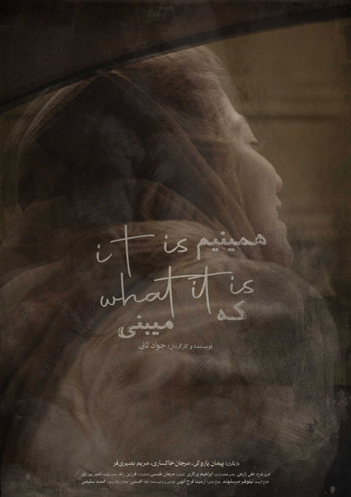 it is what it is (2024) poster