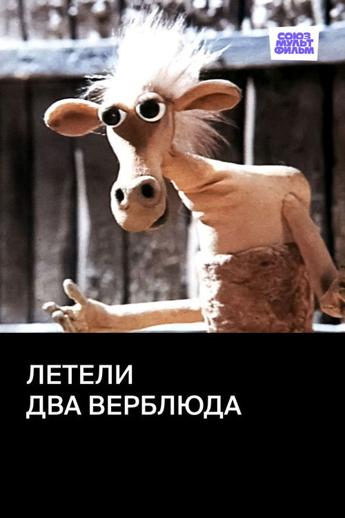 Two Camels Were Flying (1988) poster