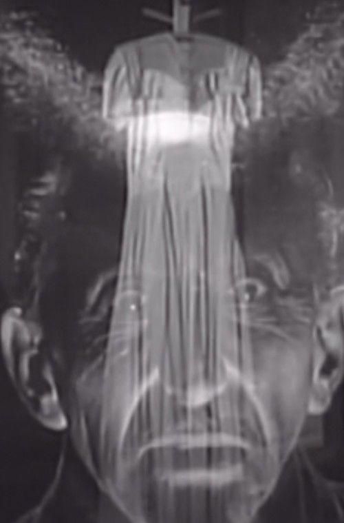 Glen or Glenda Forwards and Backwards (2018) poster