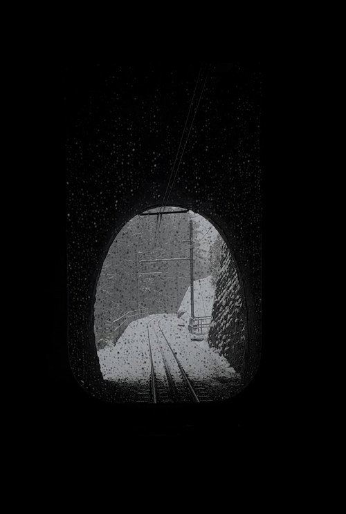 Snowy Train (2024) poster