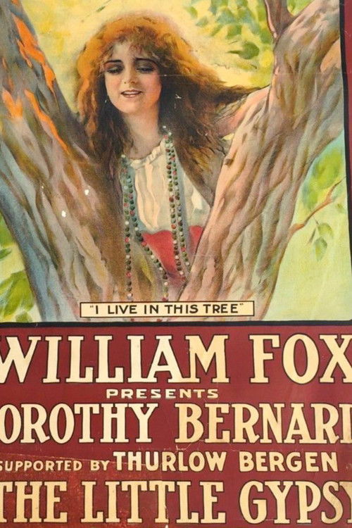 The Little Gypsy (1915) poster