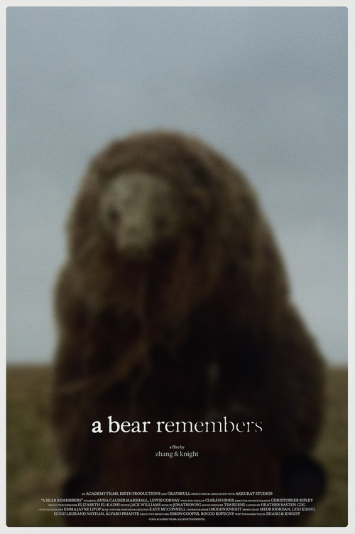 A Bear Remembers (2025) poster