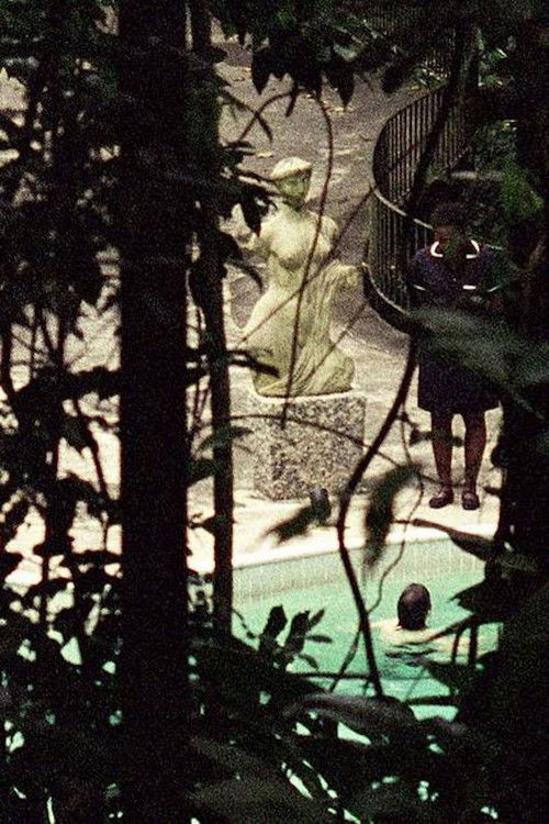 Canoas (2010) poster