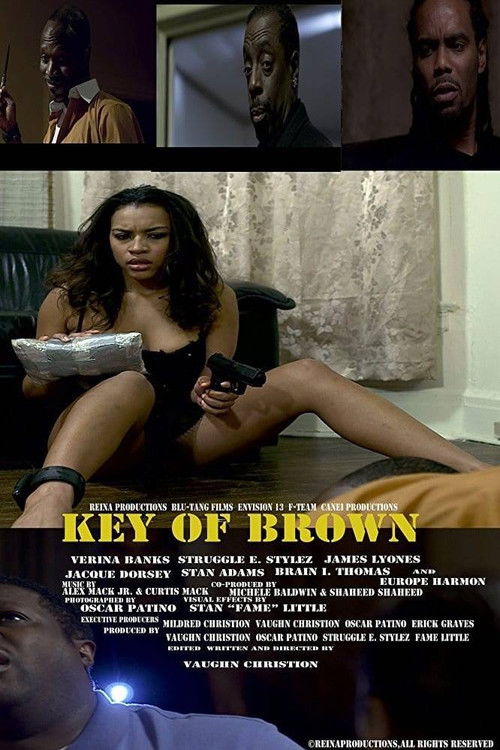 Key of Brown (2013) poster