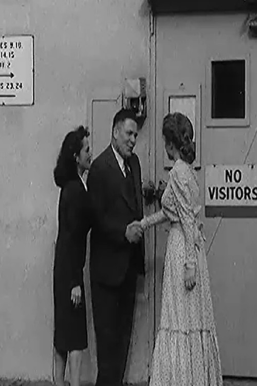 A Finnish Filmmaker in Hollywood (1947) poster