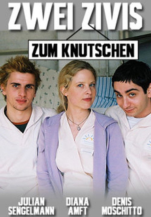 Zwei Zivis zum Knutschen (2008) poster