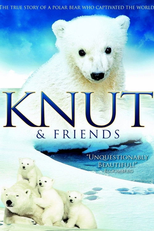Knut und seine Freunde (2008) poster