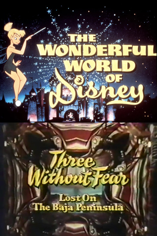 Three Without Fear (1971) poster