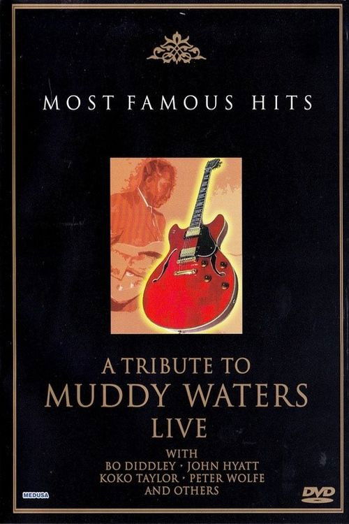 A Tribute to Muddy Waters - Live (2003) poster