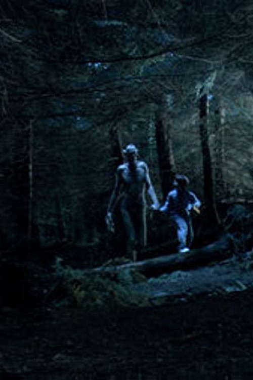 Ordan's Forest (2005) poster