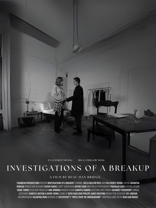 Investigations of a Breakup (2025) poster