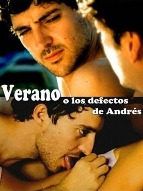 Summer or The Flaws of Andrés (2006) poster
