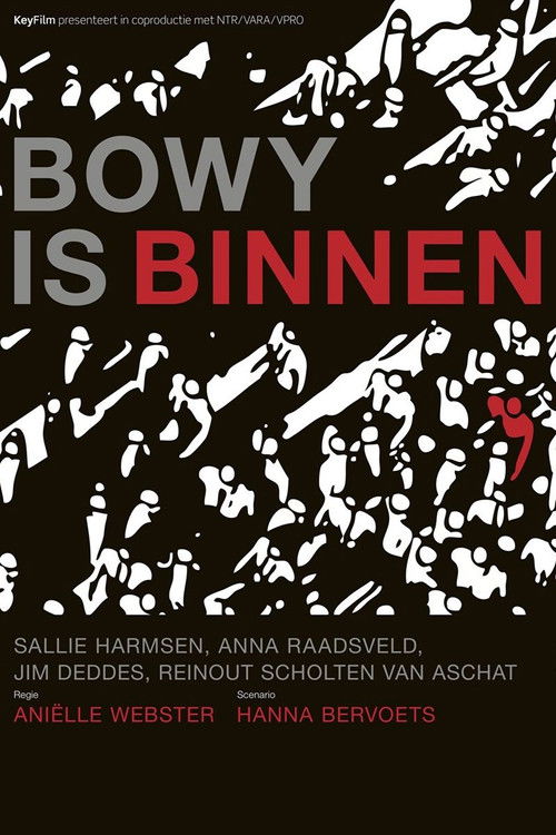 Bowy Is Inside (2012) poster