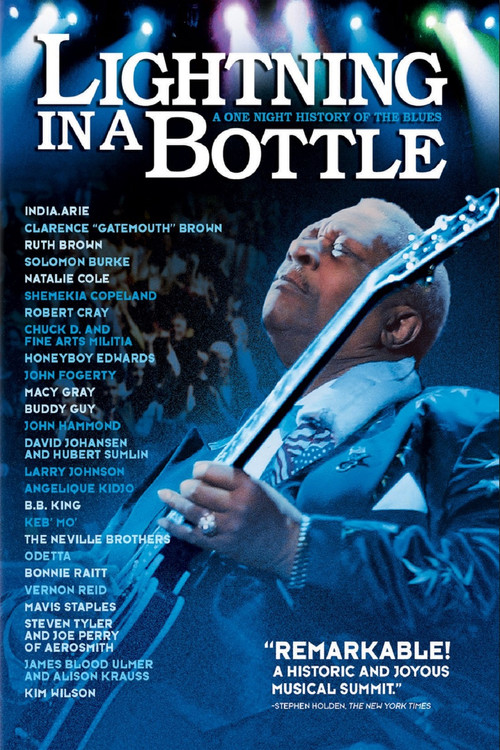Lightning in a Bottle (2004) poster