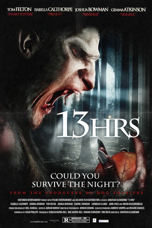 13Hrs (2010) poster