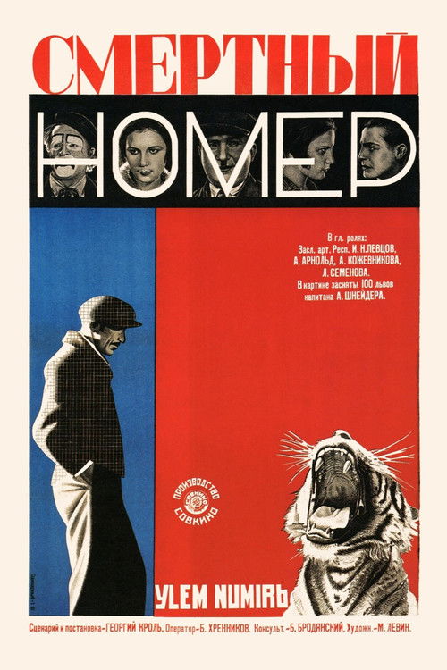 Deadly Act (1929) poster