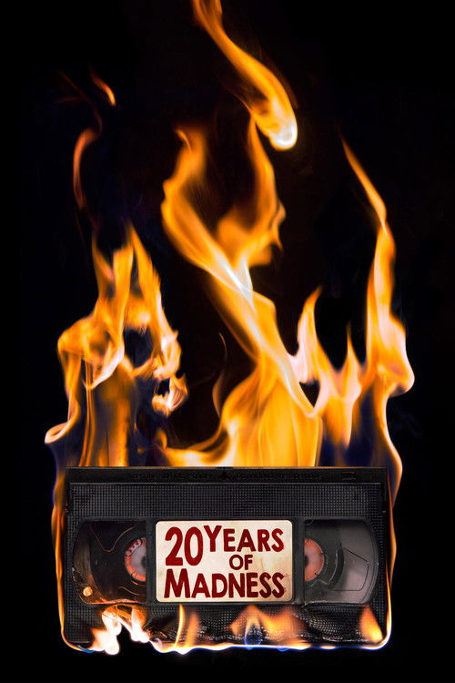 20 Years Of Madness (2016) poster