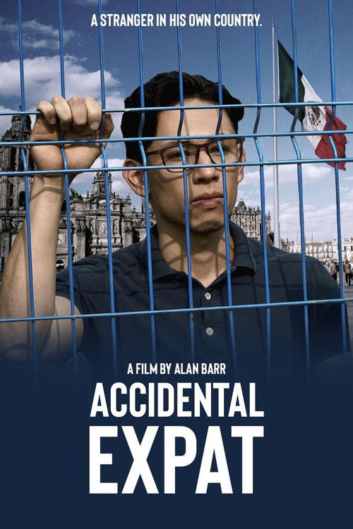 Accidental Expat (2024) poster