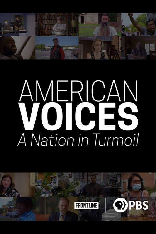 American Voices: A Nation in Turmoil (2020) poster