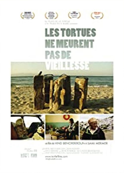 Turtles Do Not Die of Old Age (2013) poster