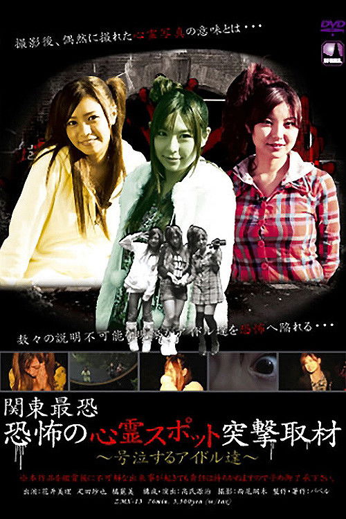 Haunting Places Report (2008) poster