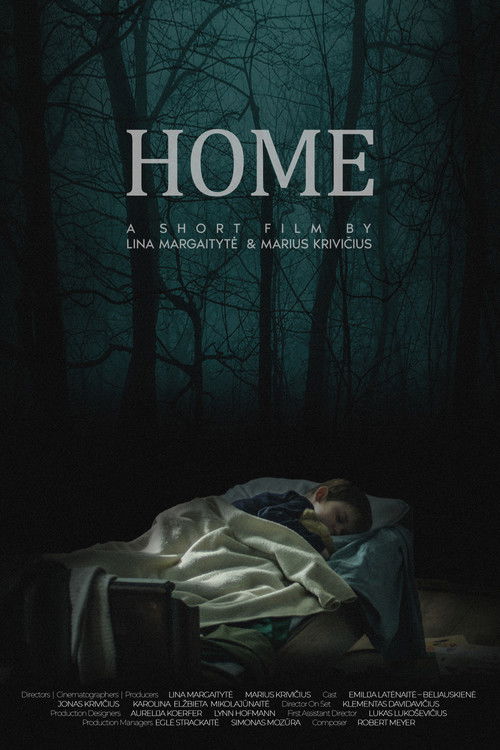 Home (2020) poster