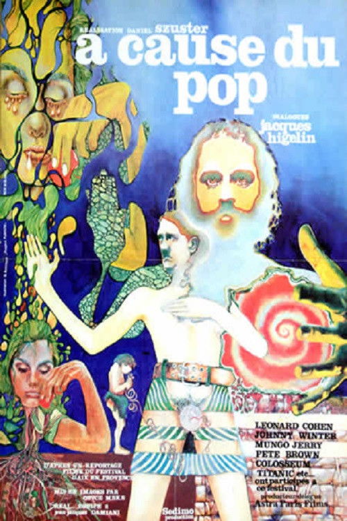 Guitare au poing (1973) poster