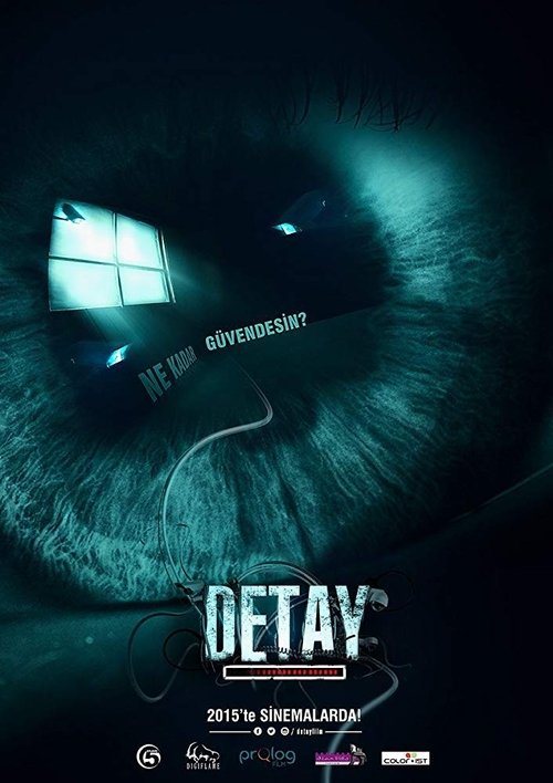 Detay (2015) poster