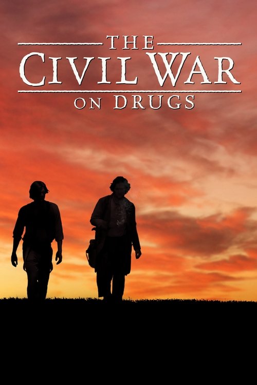 The Civil War on Drugs (2011) poster